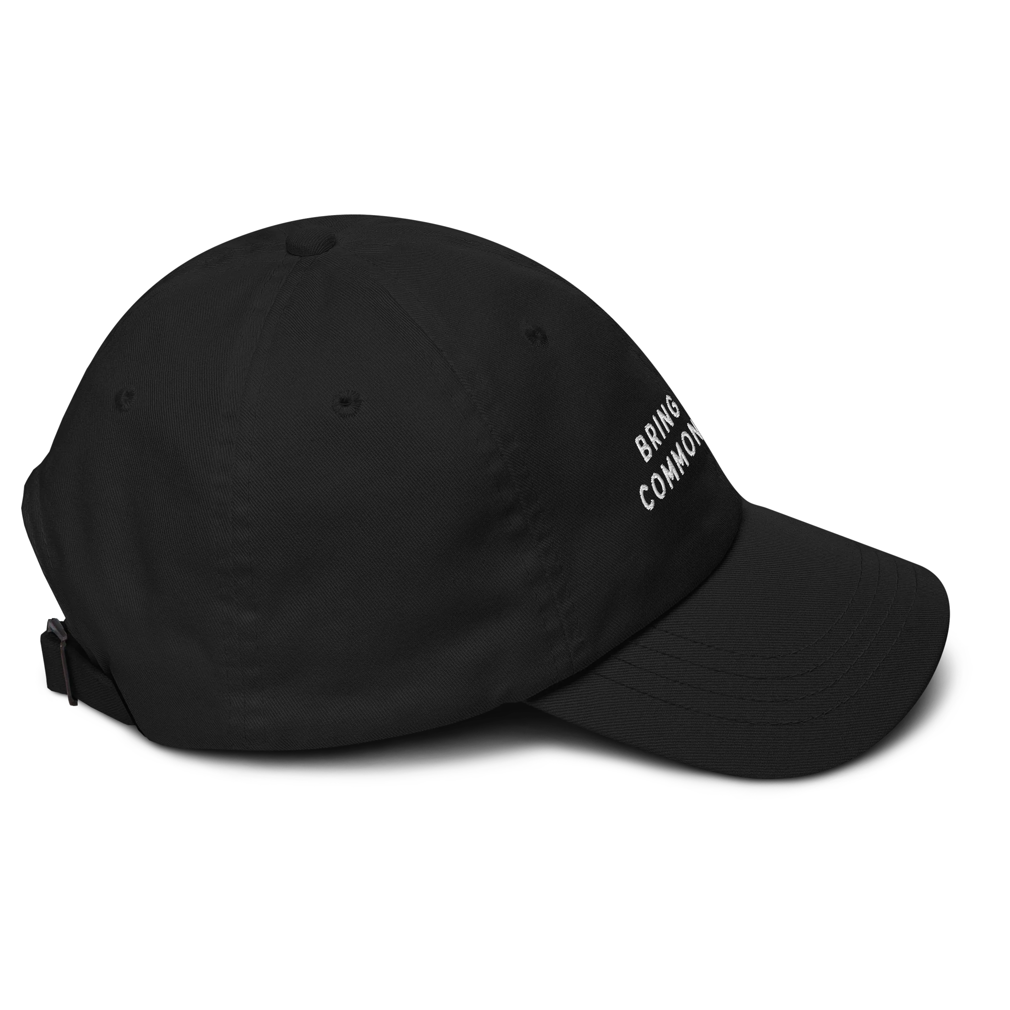 Bring Back Common Sense Embroidered Cap - Image 3