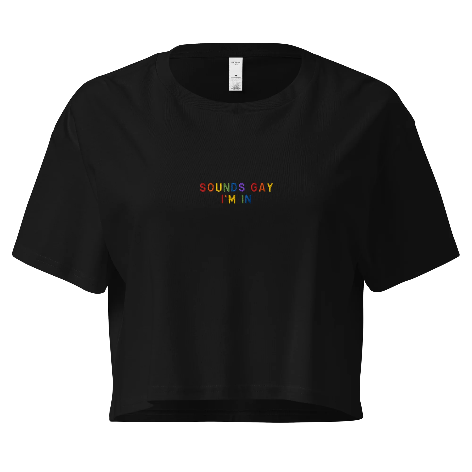 Sounds Gay I'm In Pride Embroidered Crop Tee - Image 4