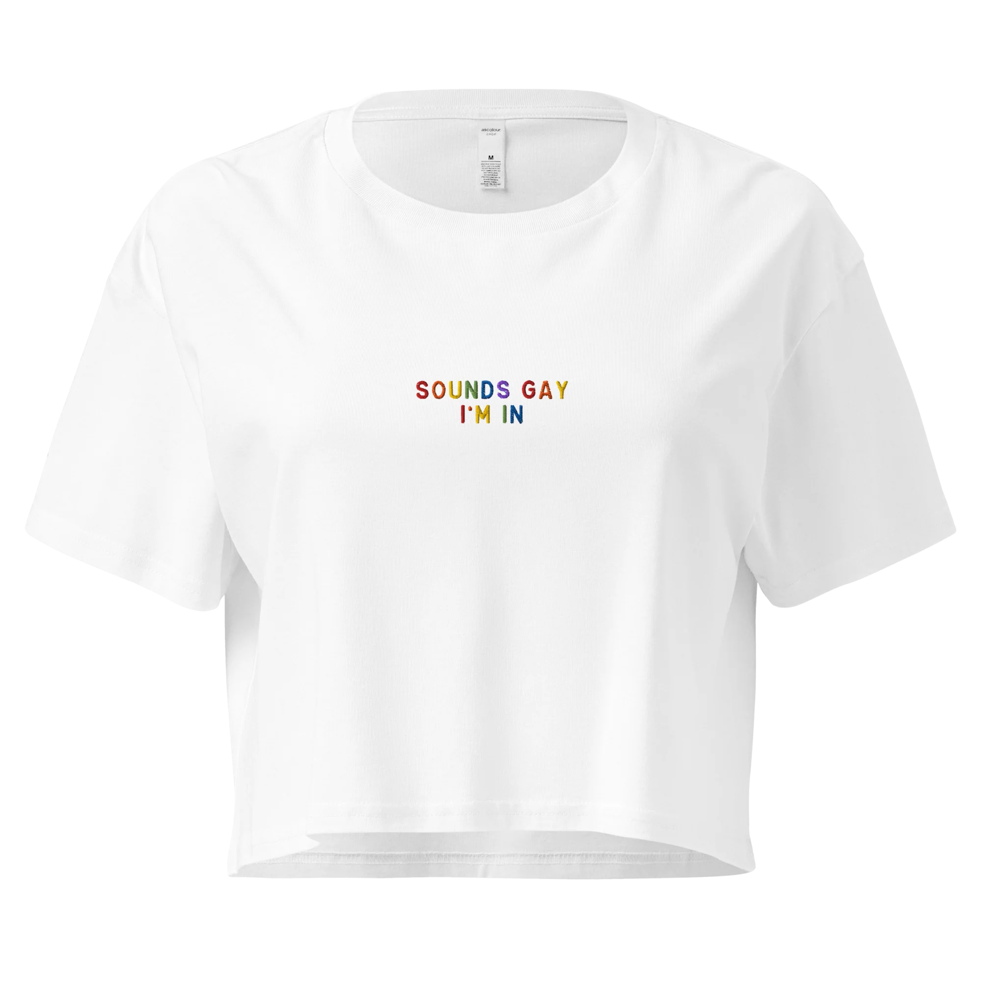 Sounds Gay I'm In Pride Embroidered Crop Tee - Image 7